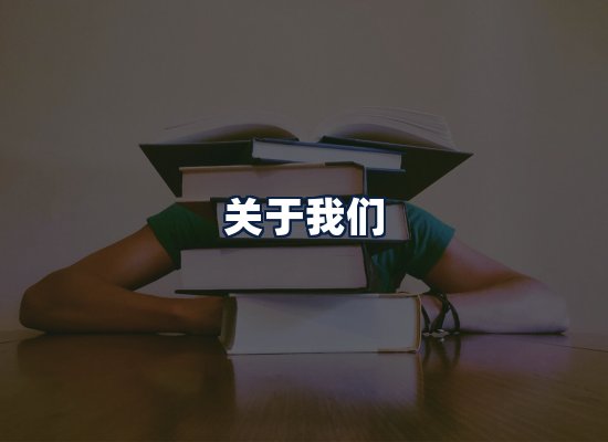 关于我们